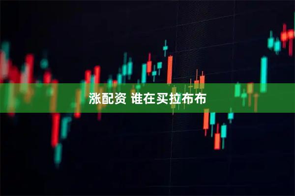 涨配资 谁在买拉布布