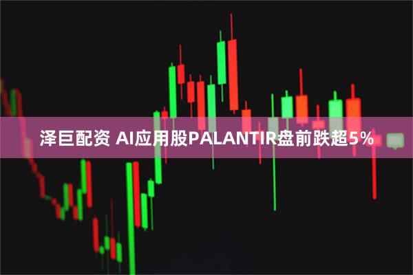 泽巨配资 AI应用股PALANTIR盘前跌超5%