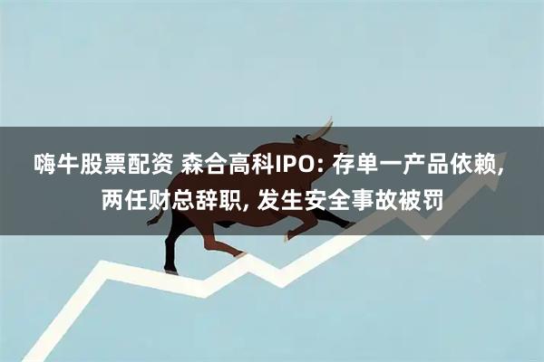 嗨牛股票配资 森合高科IPO: 存单一产品依赖, 两任财总辞职, 发生安全事故被罚