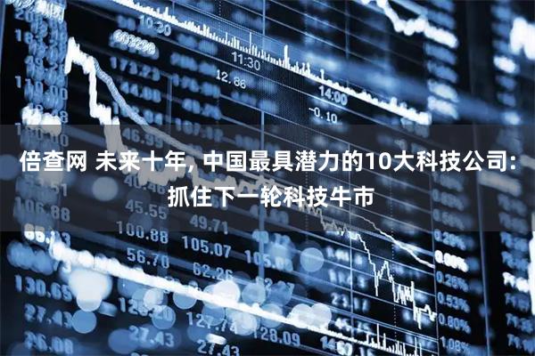 倍查网 未来十年, 中国最具潜力的10大科技公司: 抓住下一轮科技牛市