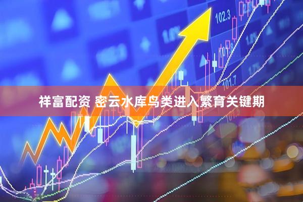祥富配资 密云水库鸟类进入繁育关键期